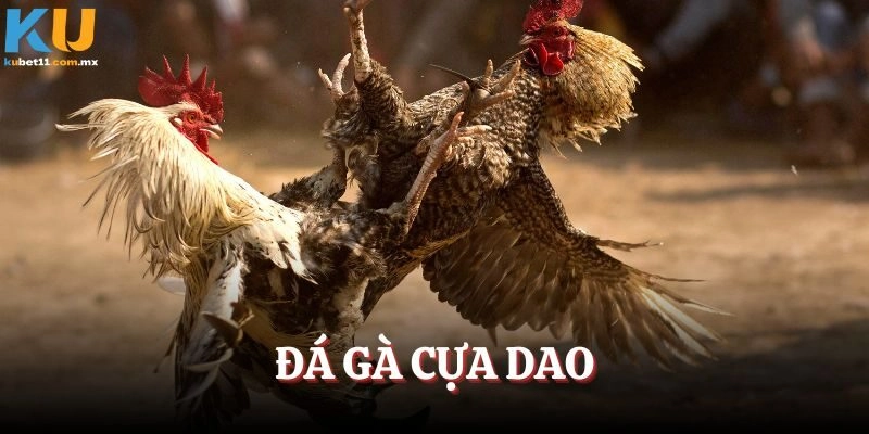Đá Gà Cựa Dao – Siêu Phẩm Giải Trí Đỉnh Cao Bậc Nhất 2025