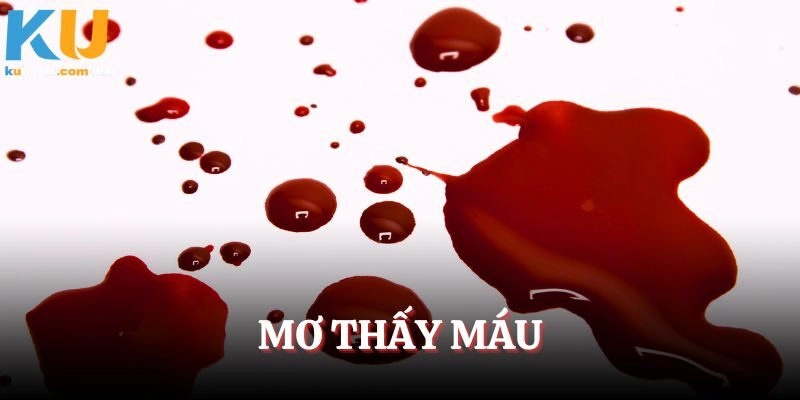 Mơ Thấy Máu – Điềm Báo Cho Tương Lai Và Lô Đẹp Nên Chọn