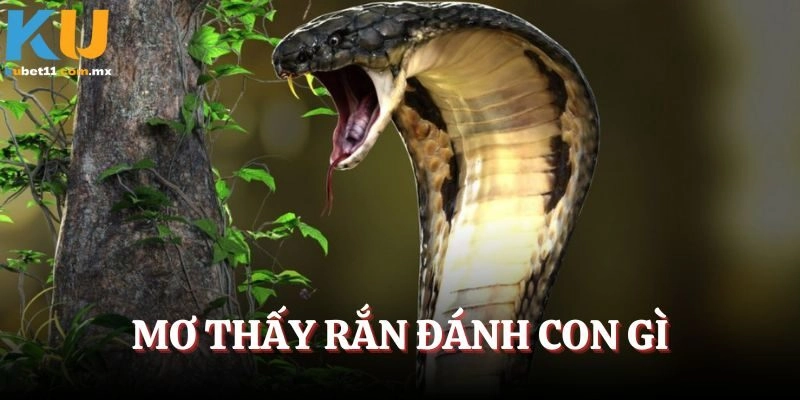Mơ Thấy Rắn Đánh Con Gì – Giải Mã Giấc Mộng Chi Tiết Nhất